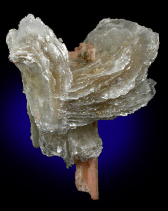 Polylithionite on Serandite from Mont Saint-Hilaire, Québec, Canada