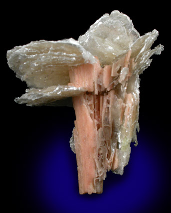 Polylithionite on Serandite from Mont Saint-Hilaire, Qubec, Canada