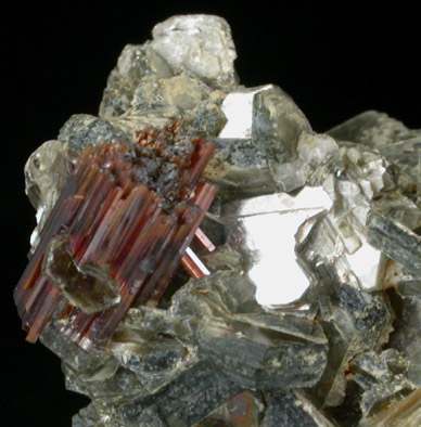 Rutile in Muscovite from Cleveland County, North Carolina