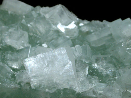 Hydroxyapophyllite-(K) (formerly apophyllite-(KOH)) on Prehnite from Fairfax Quarry, 6.4 km west of Centreville, Fairfax County, Virginia