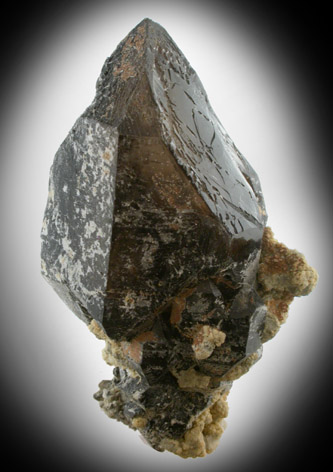 Quartz var. Smoky from Mont Saint-Hilaire, Qubec, Canada