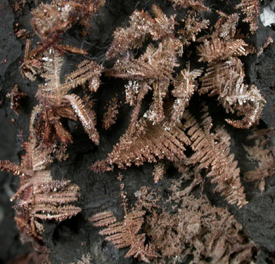 Silver in Native Arsenic from Phla Mine, Schwarzenberg District, Erzgebirge, Saxony, Germany