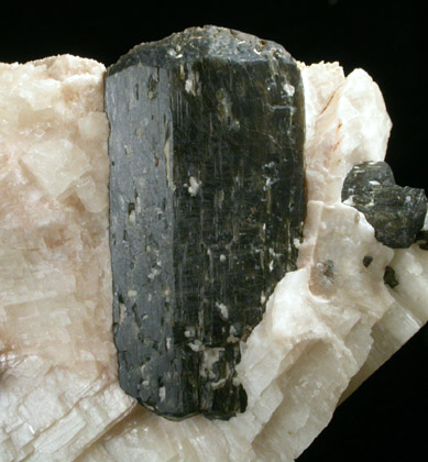 Fluoro-richterite (Fluororichterite) from Earle's Farm, Wilberforce, Ontario, Canada