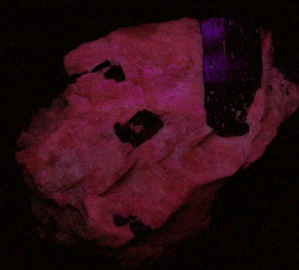 Fluoro-richterite (Fluororichterite) from Earle's Farm, Wilberforce, Ontario, Canada
