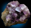 Quartz var. Amethyst from Edgewater, Delaware County, Pennsylvania