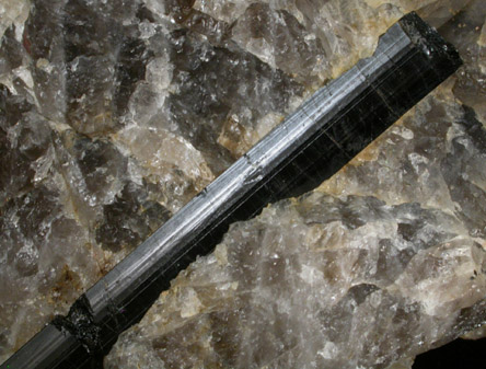 Schorl Tourmaline from Linwood Mill Dam, Trainer, Delaware County, Pennsylvania
