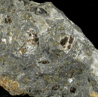 Kimberlite from Barr-Slope Mine, Dixonville Dike, Indiana County, Pennsylvania