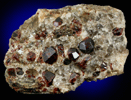 Almandine-Spessartine Garnet from Deshong's Quarry, Leiperville, Delaware County, Pennsylvania