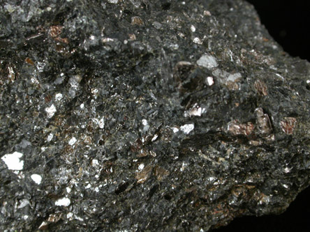 Graphite, Almandine in Hornblende from Olafson's Iron Mine, Huff's Church, Hereford Township, Berks County, Pennsylvania