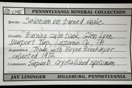 Selenium on shale from Glen Lyon, Newport Township, Luzerne County, Pennsylvania