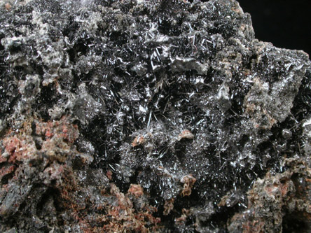 Selenium on shale from Glen Lyon, Newport Township, Luzerne County, Pennsylvania