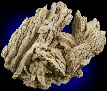 Calcite pseudomorphs after Ikaite (Thinolite formation) from Mono Lake, Mono County, California