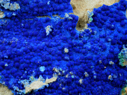 Cyanotrichite from Grandview Mine, Coconino County, Arizona