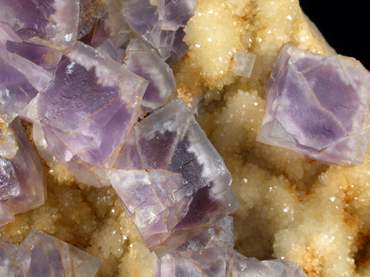 Fluorite on Quartz from Caravia-Berbes District, Asturias, Spain