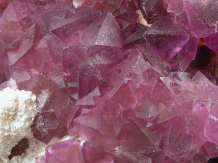 Fluorite on Quartz from Judith Lynn Claim, Pine Canyon deposit, Grant County, New Mexico