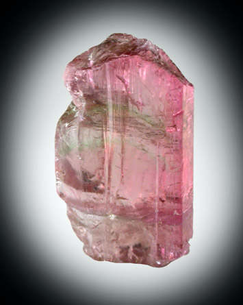 Elbaite Tourmaline from Himalaya Mine, Mesa Grande District, San Diego County, California