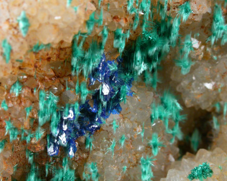 Aurichalcite and Linarite on Quartz from Blanchard Mine, Hansonburg District, 8.5 km south of Bingham, Socorro County, New Mexico
