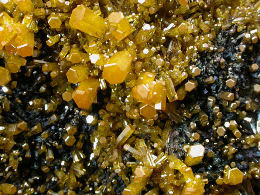 Mimetite on Cesarolite from Guatomo Mine, near Tham Thalu, south of Hat Yai, Yala Province, Thailand