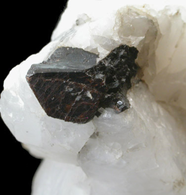 Ferberite on Quartz from Zinnwald-Cínovec District, Erzgebirge, Saxony-Bohemia border region, Germany-Czech Republic