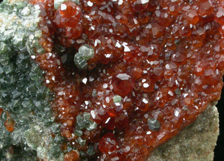 Grossular Garnet with Clinochlore from Val d'Ala, Piemonte, Italy