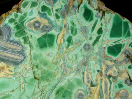 Variscite, Crandallite, Wardite from Clay Canyon, Fairfield, Utah County, Utah (Type Locality for Wardite)