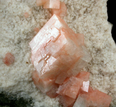 Chabazite on Albite from New Street Quarry, Paterson, Passaic County, New Jersey