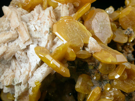 Wulfenite on Dolomite from Touissit Mine, 21 km SSE of Oujda, Jerada Province, Oriental, Morocco