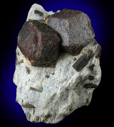 Almandine Garnet with Staurolite from Green's Farm, 750 m. ESE of Roxbury Falls, Roxbury, New Haven County, Connecticut