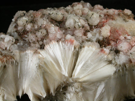 Analcime on Pectolite from Prospect Park Quarry, Prospect Park, Passaic County, New Jersey