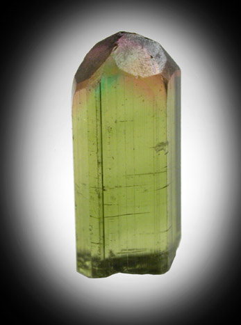 Elbaite Tourmaline from Minas Gerais, Brazil