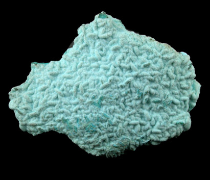 Chrysocolla from Morenci Mine, Clifton District, Greenlee County, Arizona