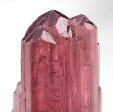 Elbaite var. Rubellite Tourmaline from Minas Gerais, Brazil