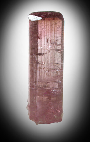 Elbaite var. Rubellite Tourmaline from Alto Ligonia, Mozambique