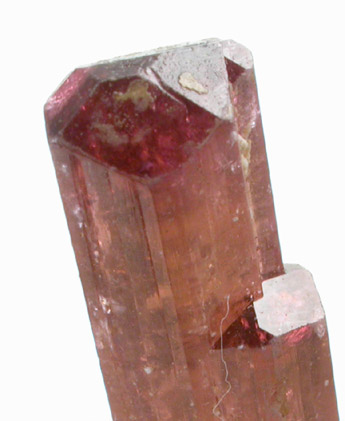 Elbaite var. Rubellite Tourmaline from Alto Ligonia, Mozambique