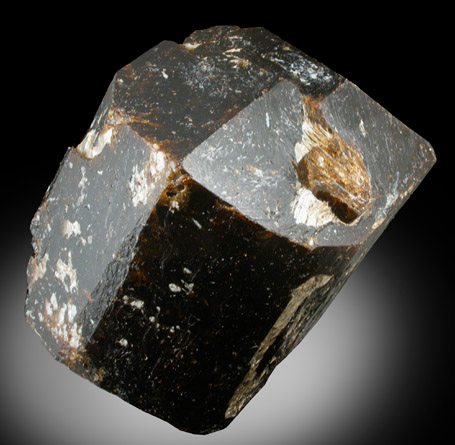 Dravite Tourmaline from Yinnietharra Station, Pilbara, Western Australia, Australia