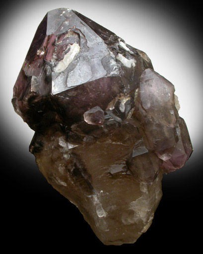 Quartz var. Smoky-Amethyst Scepter from Onyang, Kyong Sang Nam Do, South Korea