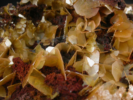 Wulfenite from Defiance Mine, Courtland-Gleeson District, Cochise County, Arizona