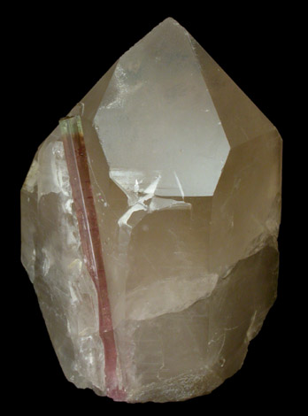 Elbaite Tourmaline in Smoky Quartz from Himalaya Mine, Mesa Grande District, San Diego County, California