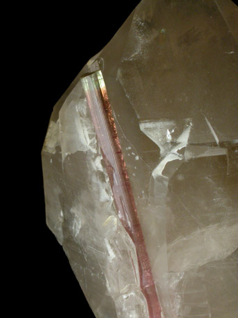 Elbaite Tourmaline in Smoky Quartz from Himalaya Mine, Mesa Grande District, San Diego County, California