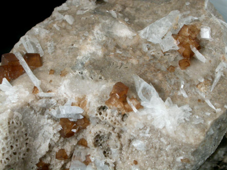 Fluorite with Celestine from Clay Center, Ottawa County, Ohio