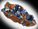 Azurite from Touissit Mine, 21 km SSE of Oujda, Jerada Province, Oriental, Morocco