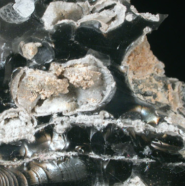 Cristobalite and Fayalite in Obsidian from Coso Hot Springs deposit, Inyo County, California