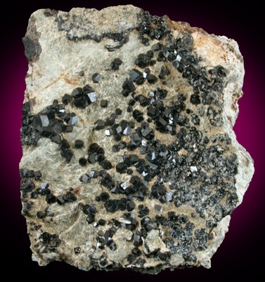 Andradite var. Melanite Garnet from near the Benitoite Gem Mine, San Benito County, California