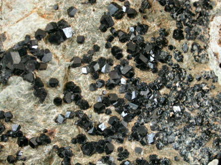 Andradite var. Melanite Garnet from near the Benitoite Gem Mine, San Benito County, California