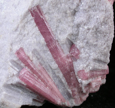 Elbaite var. Rubellite Tourmaline in Lepidolite from Stewart Mine, Pala District, San Diego County, California