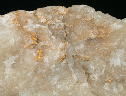 Gold in Quartz from Grass Valley, Nevada County, California