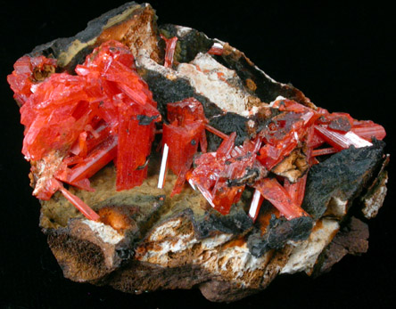 Crocoite from Dundas, Tasmania, Australia