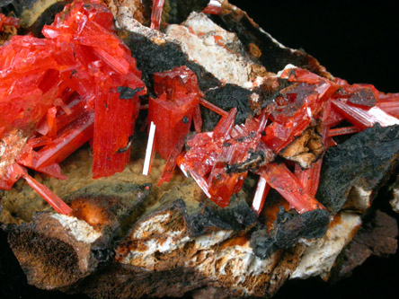 Crocoite from Dundas, Tasmania, Australia