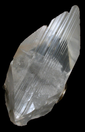 Gypsum var. Selenite from Naica District, Saucillo, Chihuahua, Mexico