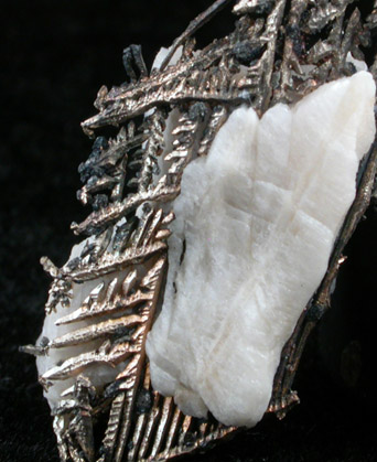 Silver in Calcite from Andres del Rio District, Batopilas, Chihuahua, Mexico